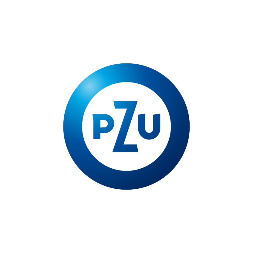 audyty projektowe